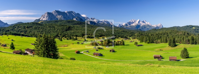 frei wählbarer Bildausschnitt für Ihr Bild auf Türfolie