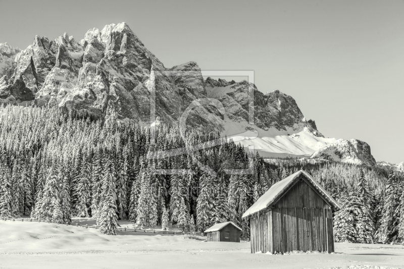 frei wählbarer Bildausschnitt für Ihr Bild auf Türfolie