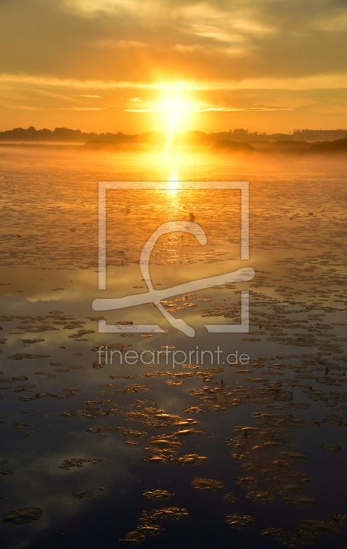 frei wählbarer Bildausschnitt für Ihr Bild auf Türfolie