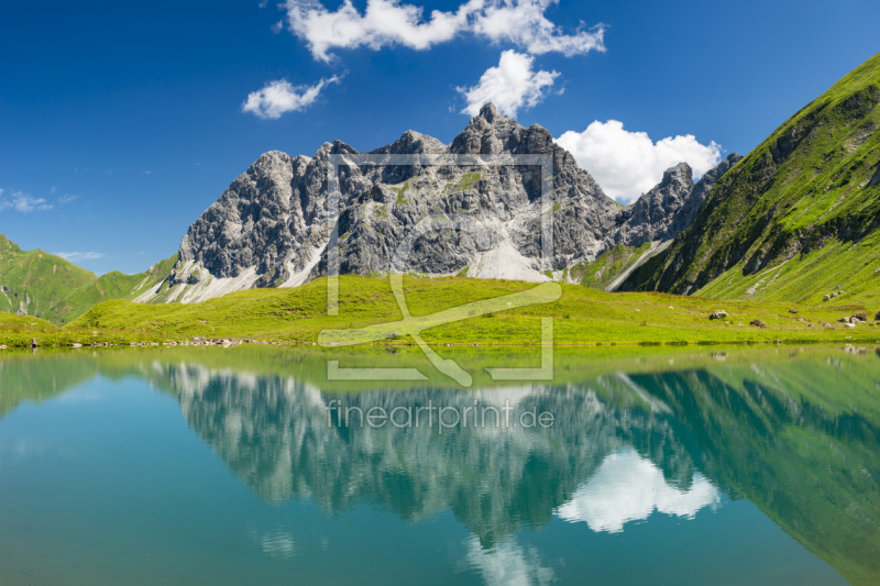 frei wählbarer Bildausschnitt für Ihr Bild auf Türfolie
