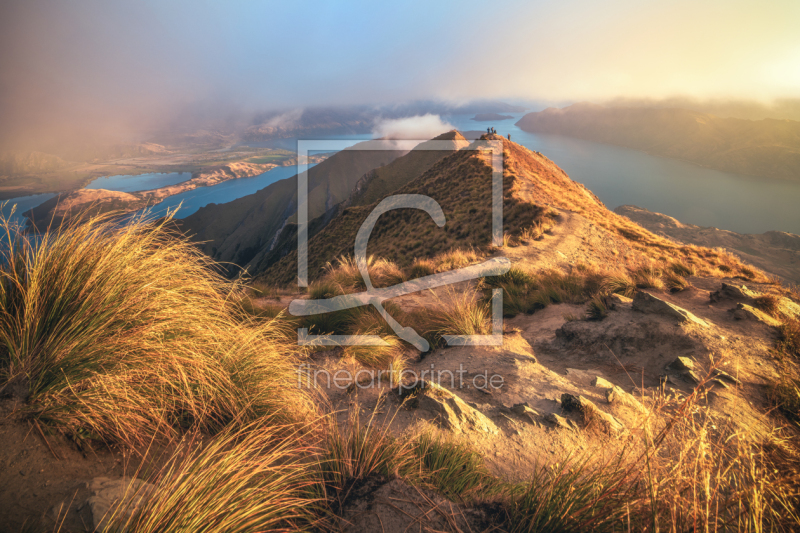 frei wählbarer Bildausschnitt für Ihr Bild auf Türfolie