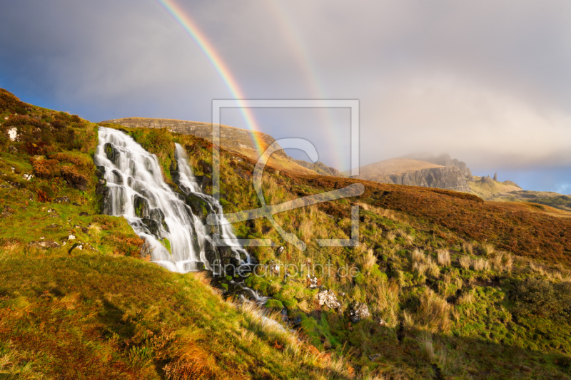 frei wählbarer Bildausschnitt für Ihr Bild auf Türfolie