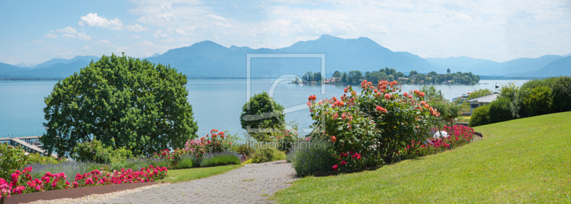 frei wählbarer Bildausschnitt für Ihr Bild auf Türfolie