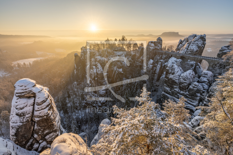 frei wählbarer Bildausschnitt für Ihr Bild auf Türfolie