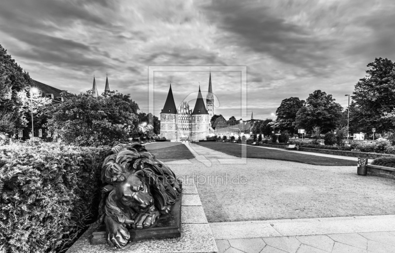 frei wählbarer Bildausschnitt für Ihr Bild auf Türfolie