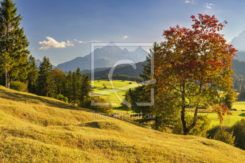 frei wählbarer Bildausschnitt für Ihr Bild auf Türfolie