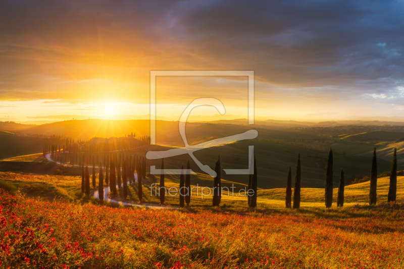 frei wählbarer Bildausschnitt für Ihr Bild auf Türfolie