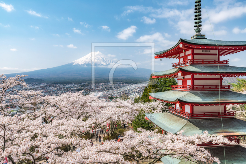 frei wählbarer Bildausschnitt für Ihr Bild auf Türfolie