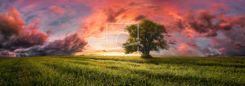 frei wählbarer Bildausschnitt für Ihr Bild auf Türfolie