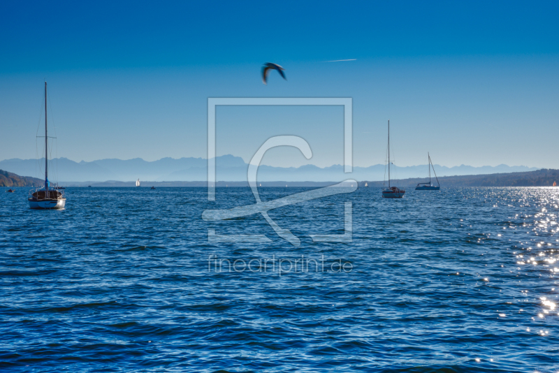 frei wählbarer Bildausschnitt für Ihr Bild auf Türfolie