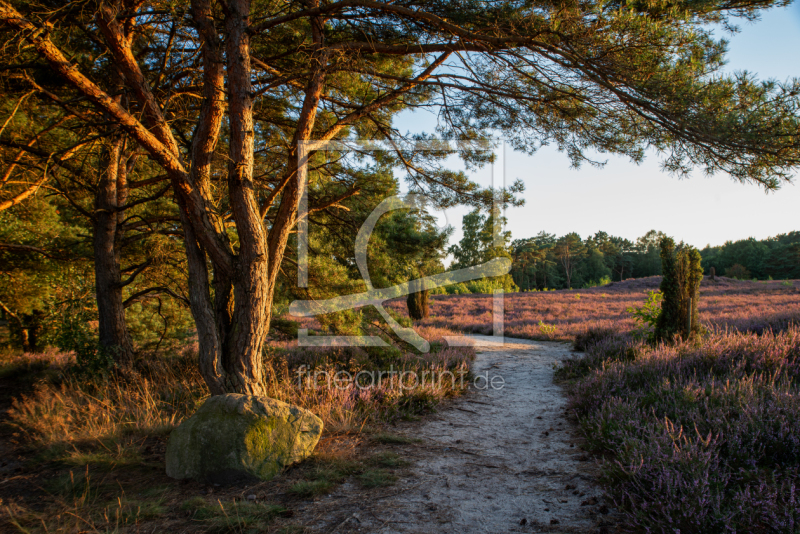 frei wählbarer Bildausschnitt für Ihr Bild auf Türfolie