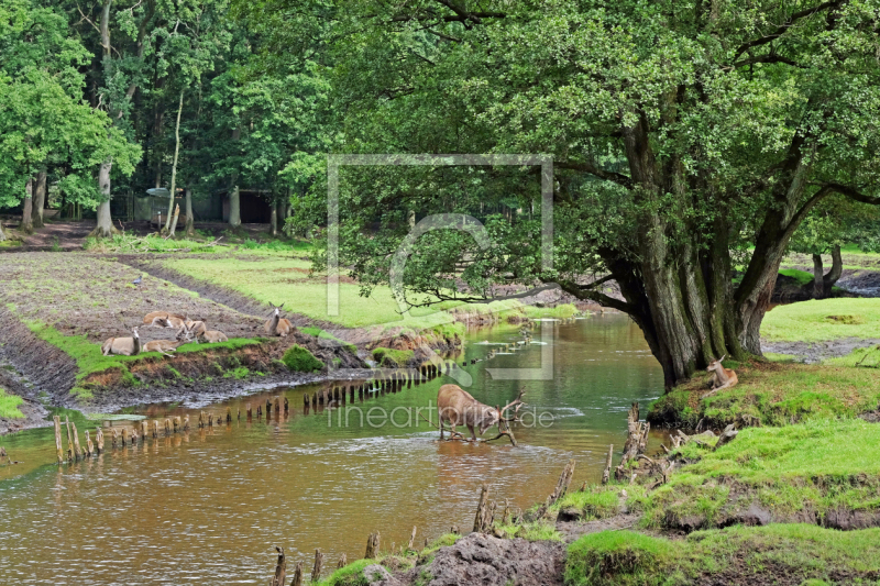 frei wählbarer Bildausschnitt für Ihr Bild auf Türfolie