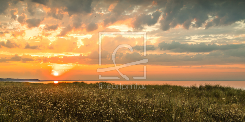 frei wählbarer Bildausschnitt für Ihr Bild auf Türfolie