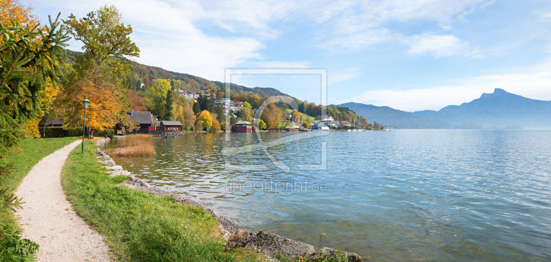 frei wählbarer Bildausschnitt für Ihr Bild auf Türfolie