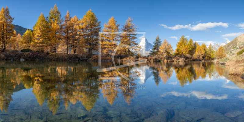 frei wählbarer Bildausschnitt für Ihr Bild auf Türfolie
