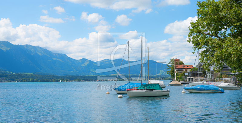 frei wählbarer Bildausschnitt für Ihr Bild auf Türfolie