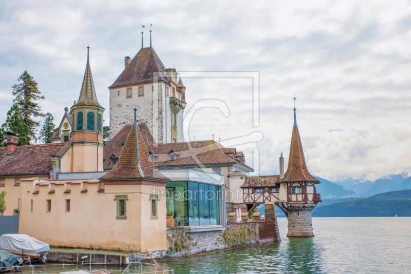 frei wählbarer Bildausschnitt für Ihr Bild auf Türfolie