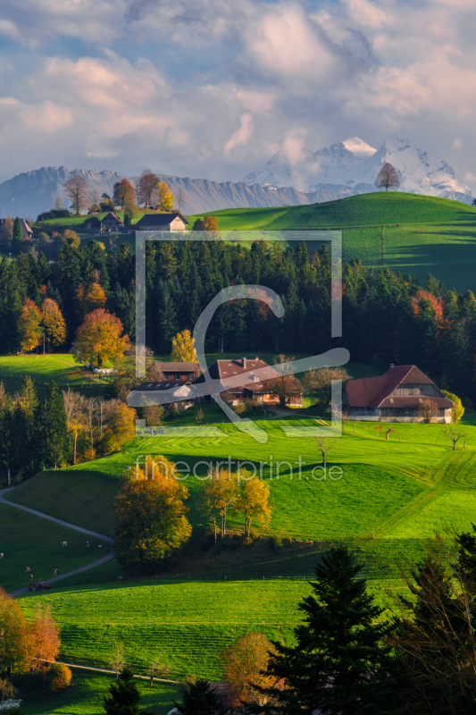 frei wählbarer Bildausschnitt für Ihr Bild auf Türfolie