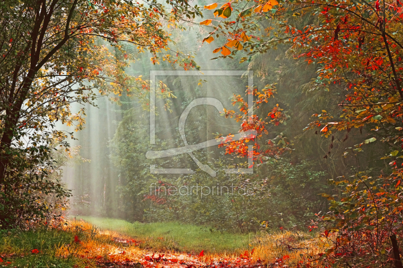 frei wählbarer Bildausschnitt für Ihr Bild auf Türfolie