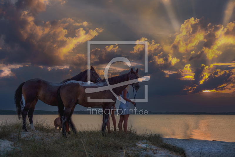 frei wählbarer Bildausschnitt für Ihr Bild auf Türfolie