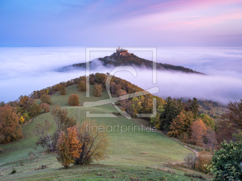 frei wählbarer Bildausschnitt für Ihr Bild auf Türfolie