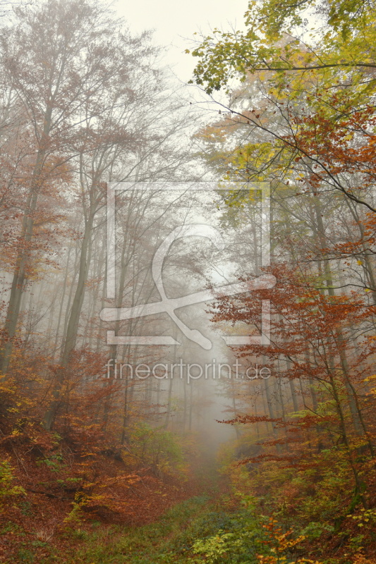 frei wählbarer Bildausschnitt für Ihr Bild auf Türfolie