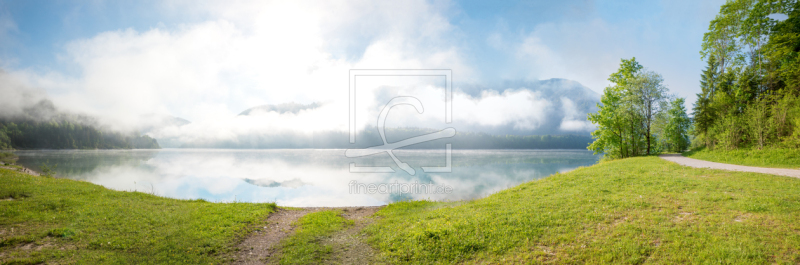 frei wählbarer Bildausschnitt für Ihr Bild auf Türfolie