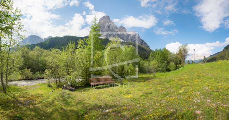 frei wählbarer Bildausschnitt für Ihr Bild auf Türfolie