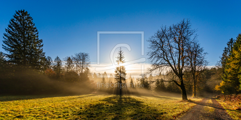 frei wählbarer Bildausschnitt für Ihr Bild auf Türfolie