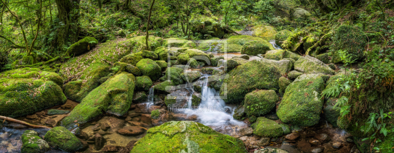 frei wählbarer Bildausschnitt für Ihr Bild auf Türfolie