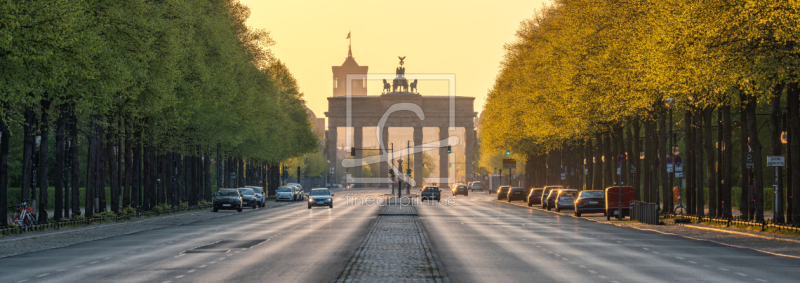 frei wählbarer Bildausschnitt für Ihr Bild auf Türfolie