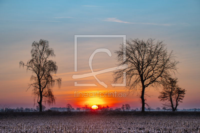 frei wählbarer Bildausschnitt für Ihr Bild auf Türfolie