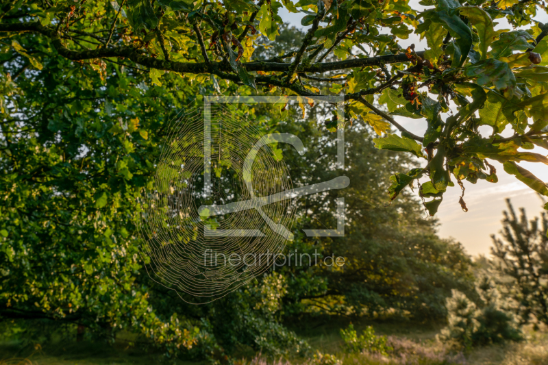 frei wählbarer Bildausschnitt für Ihr Bild auf Türfolie