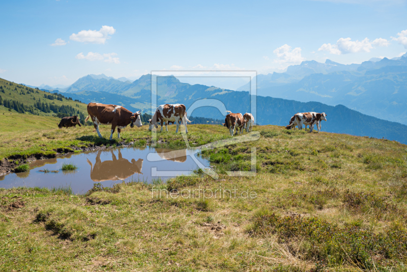 frei wählbarer Bildausschnitt für Ihr Bild auf Türfolie