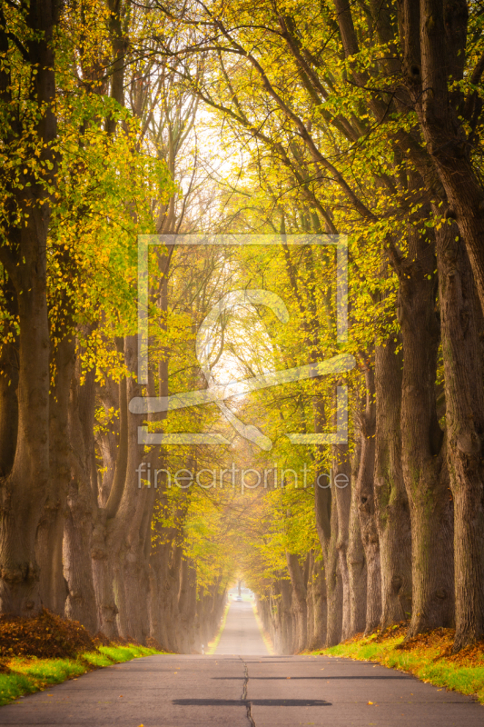 frei wählbarer Bildausschnitt für Ihr Bild auf Türfolie