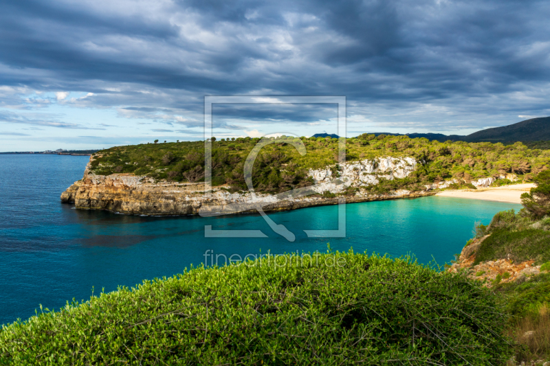 frei wählbarer Bildausschnitt für Ihr Bild auf Türfolie