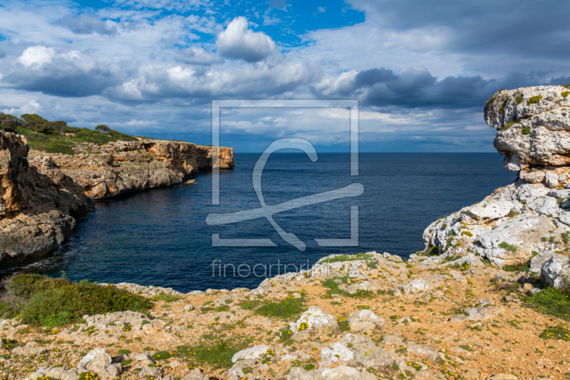 frei wählbarer Bildausschnitt für Ihr Bild auf Türfolie