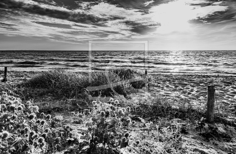 frei wählbarer Bildausschnitt für Ihr Bild auf Türfolie