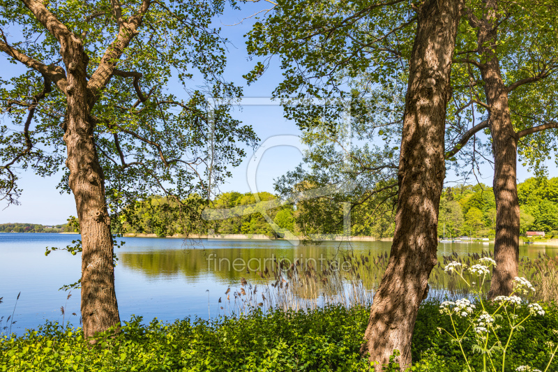 frei wählbarer Bildausschnitt für Ihr Bild auf Türfolie