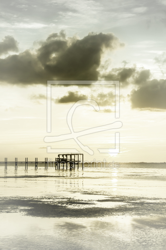 frei wählbarer Bildausschnitt für Ihr Bild auf Türfolie