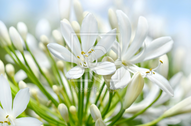 frei wählbarer Bildausschnitt für Ihr Bild auf Türfolie