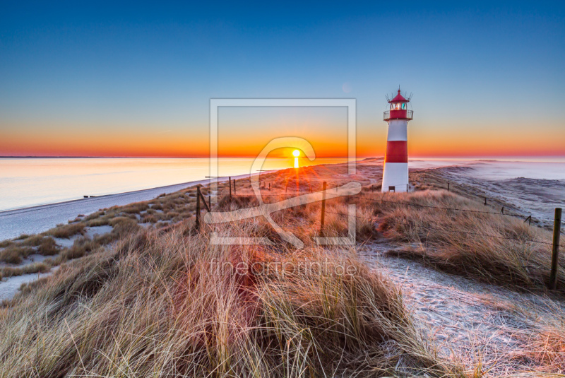 frei wählbarer Bildausschnitt für Ihr Bild auf Türfolie