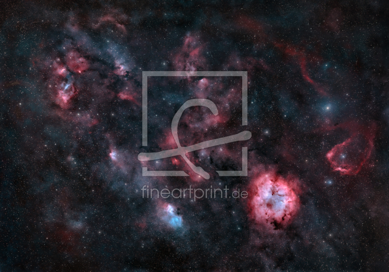 frei wählbarer Bildausschnitt für Ihr Bild auf Türfolie