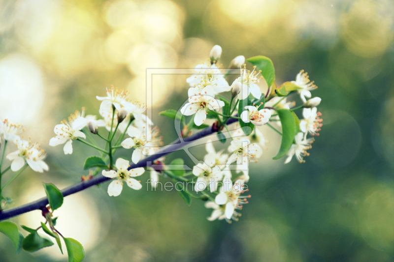 frei wählbarer Bildausschnitt für Ihr Bild auf Türfolie