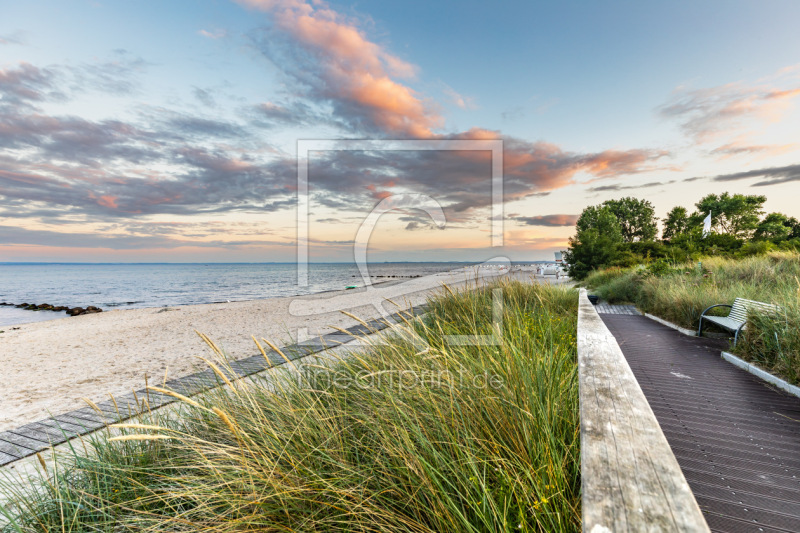 frei wählbarer Bildausschnitt für Ihr Bild auf Türfolie