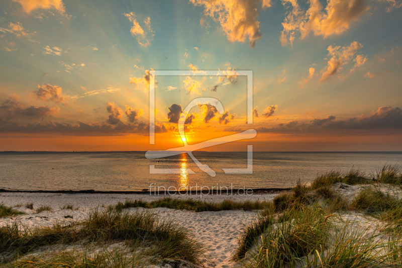 frei wählbarer Bildausschnitt für Ihr Bild auf Türfolie