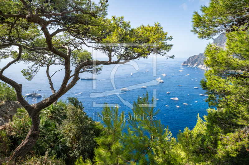 frei wählbarer Bildausschnitt für Ihr Bild auf Türfolie