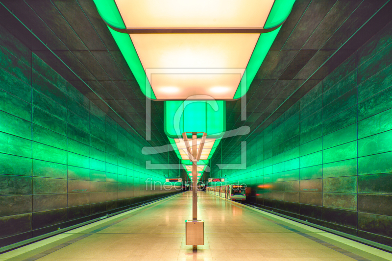 frei wählbarer Bildausschnitt für Ihr Bild auf Türfolie