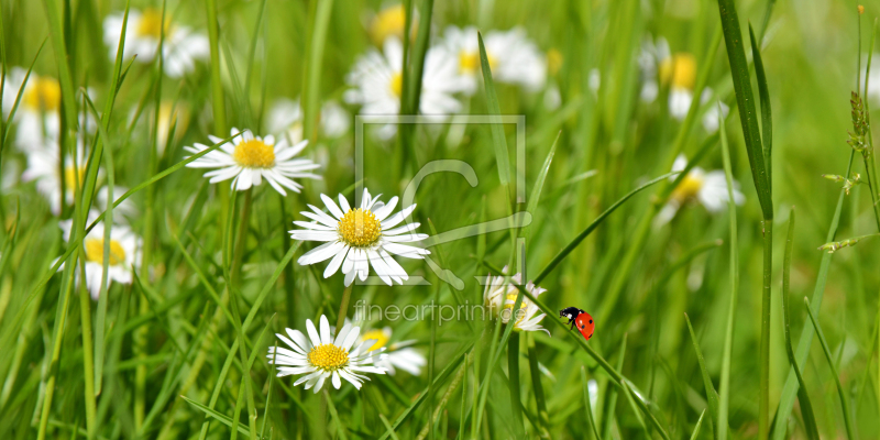frei wählbarer Bildausschnitt für Ihr Bild auf Türfolie