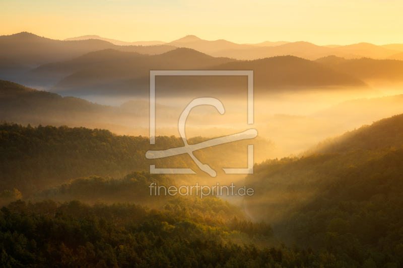 frei wählbarer Bildausschnitt für Ihr Bild auf Türfolie